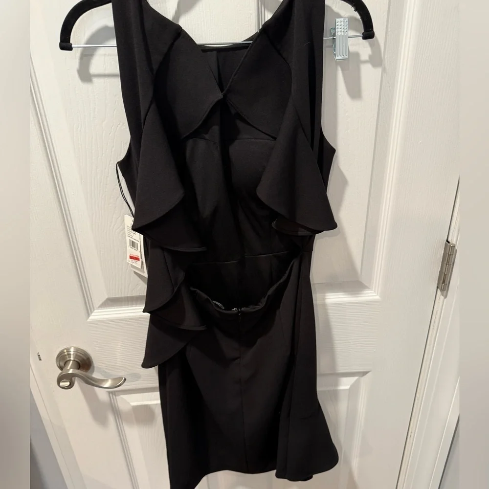 Aiden Mini Dress - Picture 5 of 10